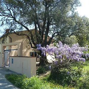 https://al-vecchio-leccio.it-tuscanyhotel.com
